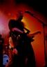 bsoilwork23.JPG